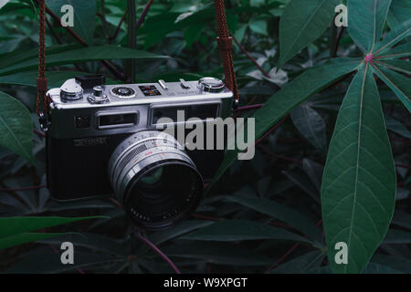 Vecchia macchina fotografica in fattoria di manioca in verde scuro tone Foto Stock