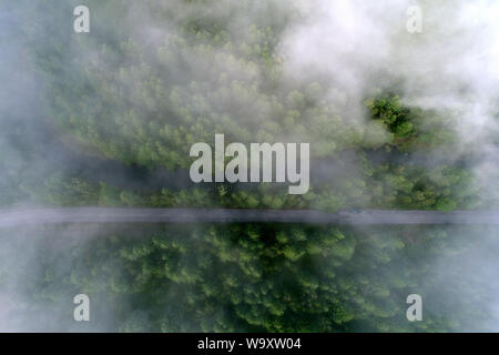 Antenna di nebbia in foreste di montagna Foto Stock