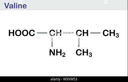 Valina formula scheletrico Illustrazione Vettoriale