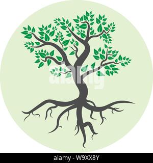 Fogliame albero con radici simbolo o icona illustrazione vettoriale Illustrazione Vettoriale