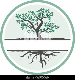 Fogliame albero con radici simbolo o icona illustrazione vettoriale Illustrazione Vettoriale