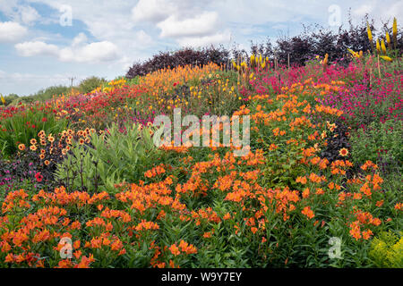 Colorate aiuole di estate al Aston ceramica. Aston, Bampton, Oxfordshire, Inghilterra Foto Stock