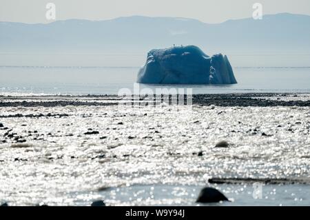 Ingresso di stagno, Canada. Il 15 agosto, 2019. Un iceberg galleggia vicino al laghetto, ingresso nell'Artico Canadese, nel mare. Il piccolo insediamento inuit con solo 1.300 abitanti si troveranno ad affrontare le conseguenze del cambiamento climatico, che nulla è più visibile che nell'Artico. Il riscaldamento globale qui è da due a tre volte più forte che in altre regioni del mondo. Credito: Kay Nietfeld/dpa/Alamy Live News Foto Stock