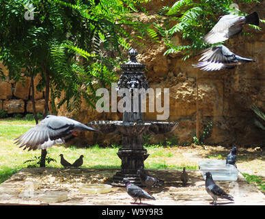 Fontana di pietra con sculture di leoni e piccioni battenti intorno Foto Stock