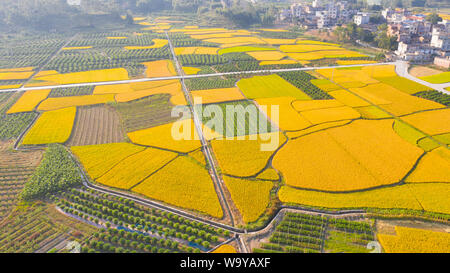 Autunno Foto Stock