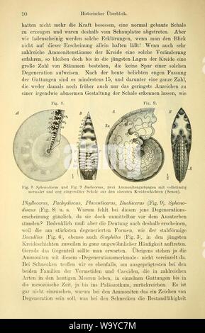 Die geologischen grundlagen der abstammungslehre (pagina 10) Foto Stock