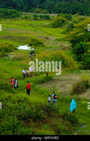 I turisti a piedi dentro la Sundarbans, la più grande foresta di mangrovie del mondo. Bangladesh. Foto Stock