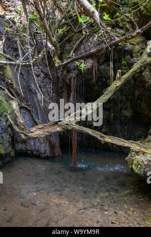 Bagni di Afrodite sulla penisola di Akamas, Cipro. Foto Stock