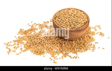 Chicchi di grano isolato su sfondo bianco, vista dall'alto Foto Stock