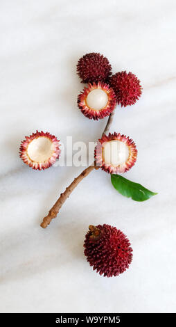 Piatto di laici pulasan frutta, foglie e rami disposti in un disegno floreale. Pulasan è un rosso di frutta tropicale dal sud-est asiatico. Foto Stock