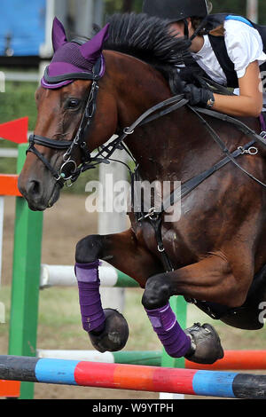 Visualizza il ponticello cavallo e cavaliere esecuzione salta in show jumping training. Messa a fuoco selettiva Foto Stock