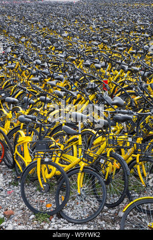 Moto cinese Condividi cimitero un monumento all'industria 'S arroganza Foto Stock