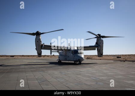 Un MV-22B Osprey assegnato a mezzo marino Tiltrotor Squadron 263 si prepara per il volo durante la formazione integrata esercizio 5-19 al Marine Corps Air Ground Centro di combattimento, ventinove Palms, California, 11 Agosto, 2019. ITX 5-19 è una grande scala, combinato di bracci di esercizio che produce la lotta contro-pronto di forze in grado di operare come un sistema integrato di Marine Air-Ground Task Force. (U.S. Marine Corps foto di Cpl. Cody Rowe) Foto Stock