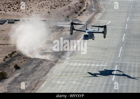 Un MV-22B Osprey assegnato a mezzo marino Tiltrotor Squadron 263 prende il largo nel corso della formazione integrata esercizio 5-19 al Marine Corps Air Ground Centro di combattimento, ventinove Palms, California, 11 Agosto, 2019. ITX 5-19 è una grande scala, combinato di bracci di esercizio che produce la lotta contro-pronto di forze in grado di operare come un sistema integrato di Marine Air-Ground Task Force. (U.S. Marine Corps foto di Cpl. Cody Rowe) Foto Stock