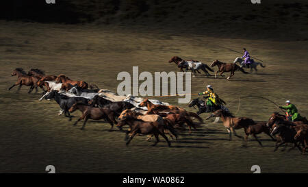 Ella in Mongolia interna Foto Stock