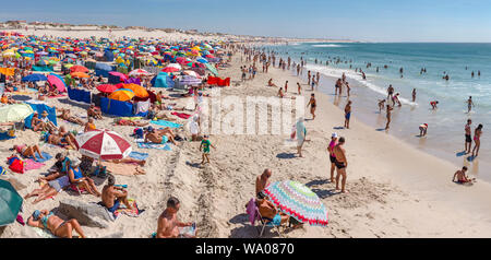 Praia da Barra, ombrelloni e frangivento, Aveiro, Portogallo Portogallo, 30062675.Caption locale *** Foto Stock