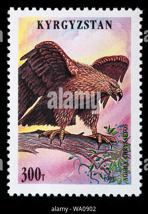 Golden Eagle, Aquila chrysaetos, francobollo, Kirghizistan, 1995 Foto Stock