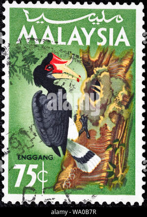 Massa abissino-hornbill, terra del nord-hornbill, Enggang, Bucorvus abyssinicus, francobollo, Malaysia, 1965 Foto Stock