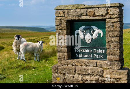 Segno per le Yorkshire Dales National Park e Swaledale pecore. Foto Stock