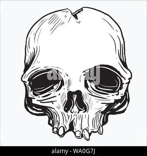 Illustrazione vettoriale di un cranio Illustrazione Vettoriale