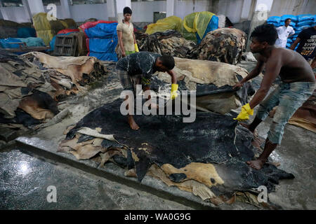 Dacca in Bangladesh - Agosto 16, 2019: conceria del Bangladesh processo i lavoratori di pelle grezza all'interno di una fabbrica presso il risparmio di area di conceria a Dhaka, nel Bangladesh. Foto Stock