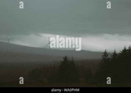 Ampio colpo di spruces e turbine eoliche sotto una nebbia cielo Foto Stock