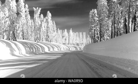 Strada di Montagna autostrada 88 verso Carson Pass, California, Stati Uniti d'America, in un giorno di inverni dotato di cinque metri di neve sul lato della strada dopo diversi stor Foto Stock