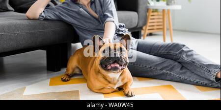 Panoramica di carino bulldog posa su pavimento in soggiorno vicino a ragazza Foto Stock