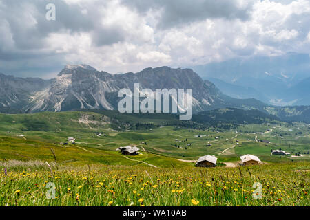 Questa è la vista dalla cima del monte Seceda in Italiana Dolimites guardando giù nella valle Foto Stock