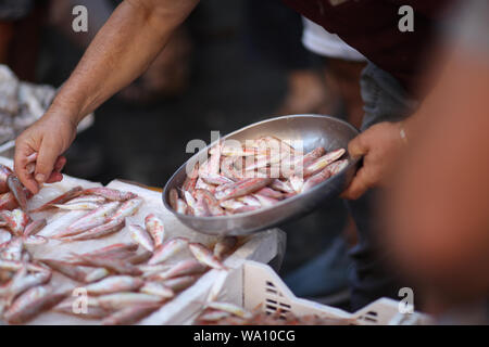 Il venditore mette una raffinata delicatezza i pesci per il compratore nel mercato del pesce Foto Stock
