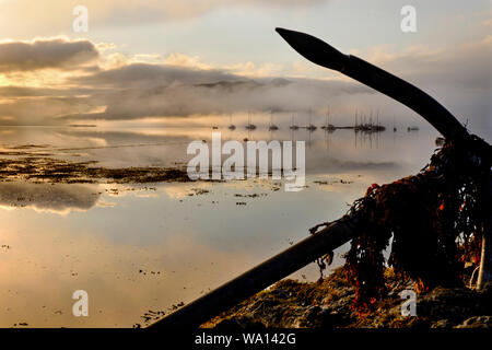 Loch Carron a sunrise con barche distanti nella nebbia da mediante la silhouette di un ancoraggio a terra drappeggiati in alghe marine Foto Stock