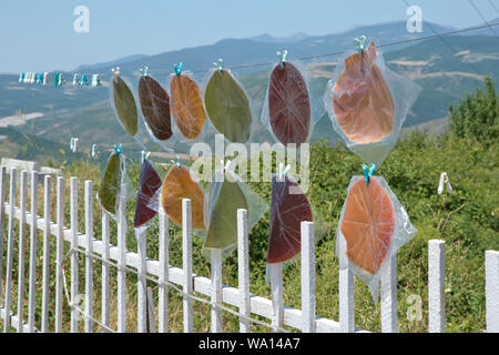 Ciliegio acido . Pickle Lavash . Zucchero libero ciliegio acido . Lavash acido Foto Stock