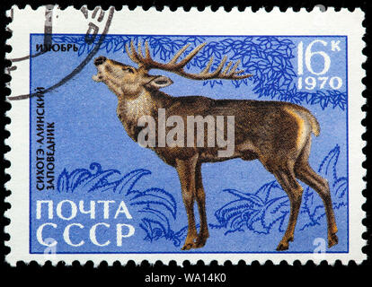 Cervi, Cervus elaphus, Fauna Sichote-Alin' di riserva, francobollo, Russia, URSS, 1970 Foto Stock