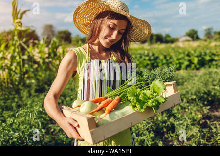 Giovane agricoltore holding scatola di legno riempita con verdure fresche. Donna Summer raccolte carote, lattuga raccolto. Giardinaggio Foto Stock