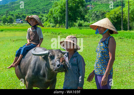 La vita rurale in Vietnam centrale sulla strada Hoi An a Hue con una donna, due bambini e una bufala (Bubalus bubalis) in una risaia. Foto Stock