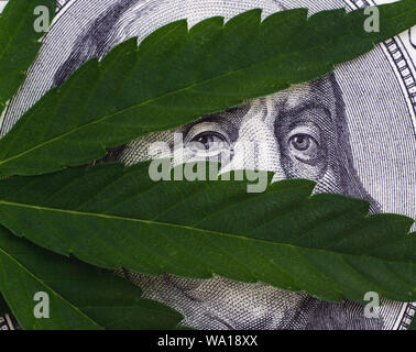 Primo piano di foglie di cannabis su United States Dollar Bills isolati su sfondo bianco. La canapa con denaro Foto Stock