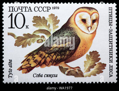 Il barbagianni, Tyto alba, foresta uccello, francobollo, Russia, URSS, 1979 Foto Stock