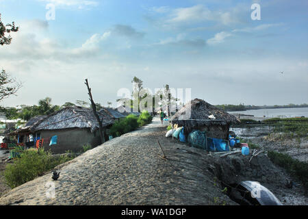 Respirazione di radici di alberi Keora al mondo la più grande foresta di mangrovie Sundarbans, famosa per il Royal tigre del Bengala e dell'UNESCO World Heritage Site in Ba Foto Stock