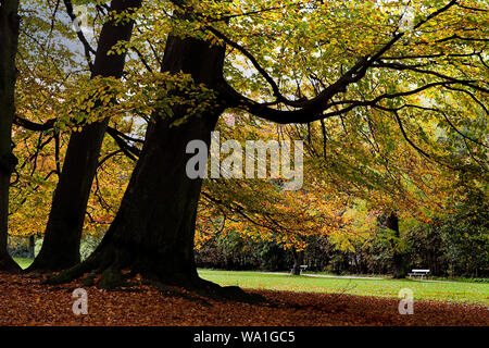 Novembre sabato pomeriggio nel parco Foto Stock