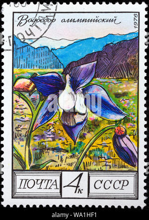 Aquilegia alpina, Aquilegia olimpica, Caucaso fiore, francobollo, Russia, URSS, 1976 Foto Stock