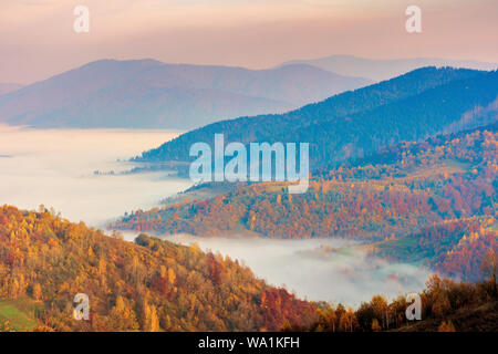 La nebbia nella valle di sunrise. bellissimo paesaggio autunnale montagne. bosco su per la collina di caduta delle foglie. Foto Stock