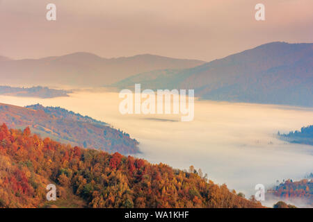 La nebbia nella valle di sunrise. bellissimo paesaggio autunnale montagne. bosco su per la collina di caduta delle foglie. Foto Stock