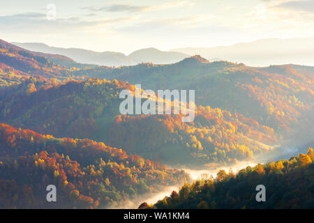 La nebbia nella valle di sunrise. bellissimo paesaggio autunnale montagne. bosco su per la collina di caduta delle foglie. soffici nuvole del cielo Foto Stock