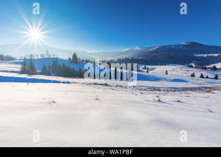 Bellissima campagna in montagna. bellissimo paesaggio invernale in una giornata di sole. alberi sulla coperta di neve sulle colline. Sun sul cielo blu chiaro. ridge con la neve Foto Stock