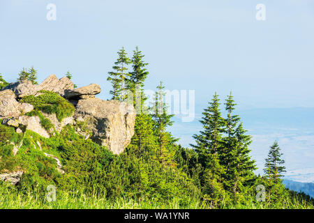 Splendido scenario estivo dei Monti Fagaras. abeti su enormi massi sulla grassy ripido pendio soleggiato con nuvole sul cielo blu Foto Stock