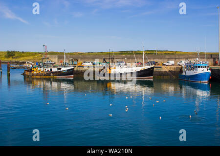 8 agosto 2019 le navi per la pesca a strascico in corrispondenza della banchina per il week-end di Ardglass Harbour contea di Down Irlanda del Nord Foto Stock