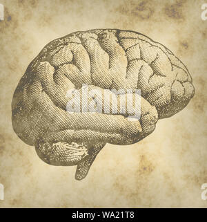 Vista laterale di un cervello, disegno. Cervello malattie degenerative, morbo di Parkinson, Sinapsi, neuroni, il morbo di Alzheimer Foto Stock