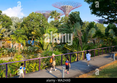 I turisti a piedi da un canale in giardini dalla baia, Singapore, uno di Singapore le principali attrazioni turistiche, alcuni dei mitici SuperTrees in b/g Foto Stock