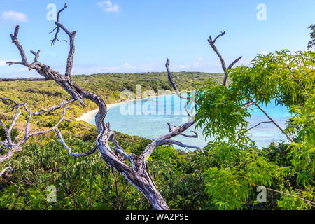 Vista di Easo beach, Lifou, Nuova Caledonia. Foto Stock