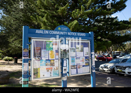 Bacheca pubblica e comunitaria con notizie ed eventi locali a Avalon Beach, Sydney, Australia Foto Stock